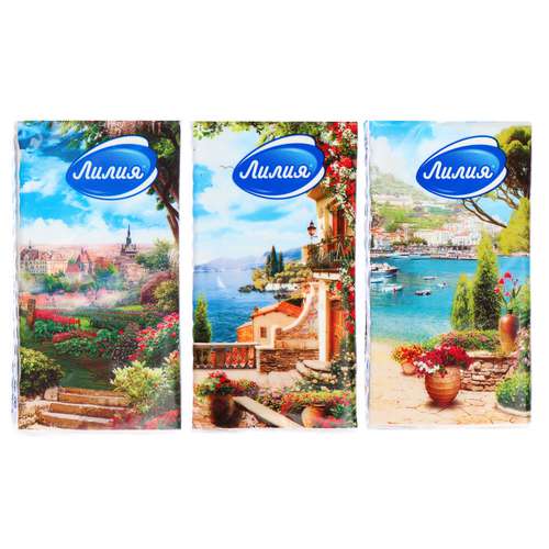 459 REISEN Подгузники для взрослых XL (L) 100-160см, 30шт, (японские технологии) Подгузники для взрослых